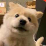 Andy