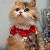 ☺