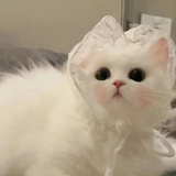 原来是我啊。