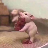 彼岸余生