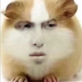 仁食丸