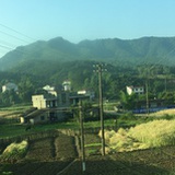 李蝉。
