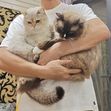 吃饱容易被沙掉