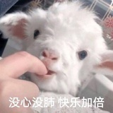 没有糖