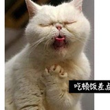 一直_直