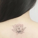 山药君