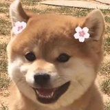 黑糊糊