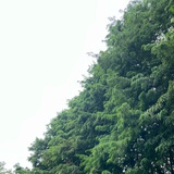 诗歌是邀请