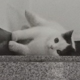 xixi