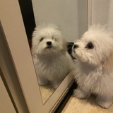 困了就睡
