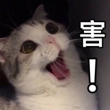 太安