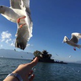 晚来秋