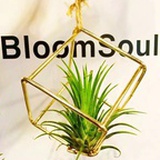 bloomsoul