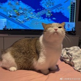 汁汁汤汤水水