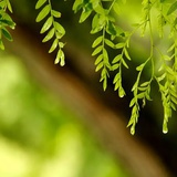 夏天午后