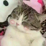 深海