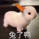 我是谁