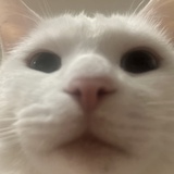 叮叮当。