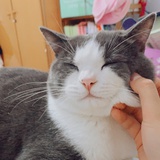 小南风