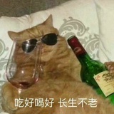乘桴