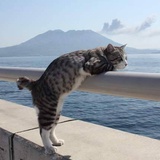 湛