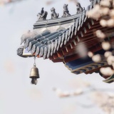 兜什么兜兜
