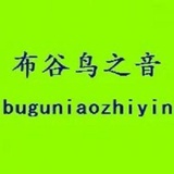 布谷鸟之音