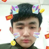 自由的猪