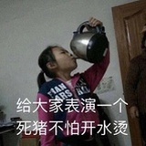 不特立独行的兔