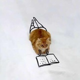 兔麻吕丶