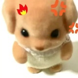 愤怒小狗