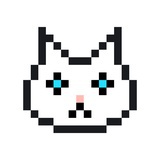 婻壮壮