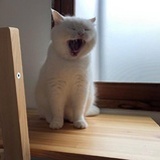 。