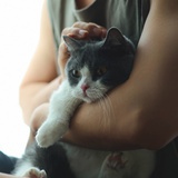 鲸落