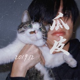 皮总首席铲屎官