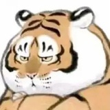富贵包