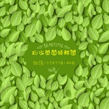 🍒果之韵