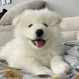拒绝摆烂的一天