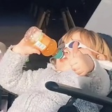 自由且摆烂