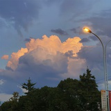 一蓑烟雨