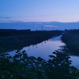 李同学