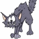 木头里的猫