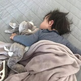 落淮安