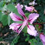 蜗牛去散步