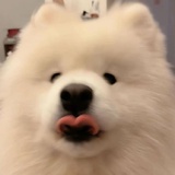 福尔摩斯