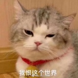 耿末凉子