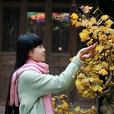 风小沉