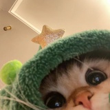 扬扬乐