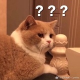 阿呆