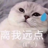 番茄酱宋哈哈